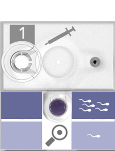 SwimCount Sperm Quality Test | Wholesale